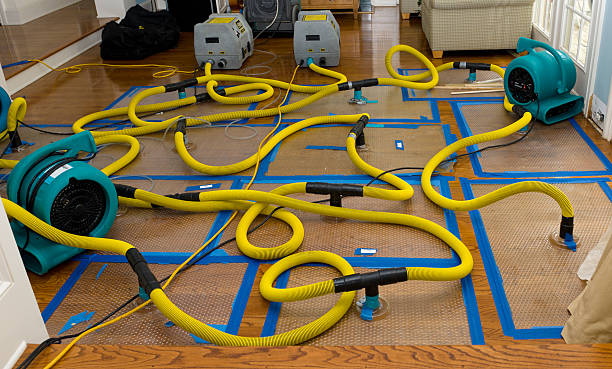 Professional Storm Water Damage Restoration technician working in Whiting, IN